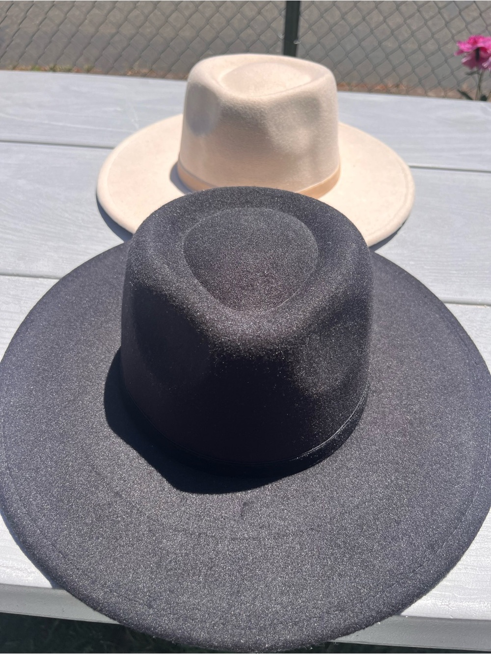 Wide Brim Felt Fedora Hat - Black and Cream